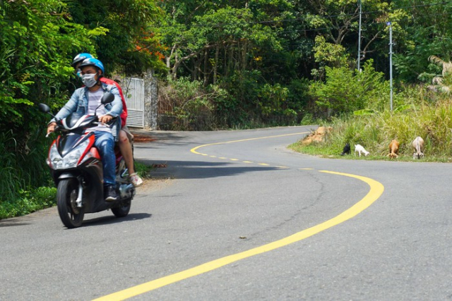Ban dao Son Tra co kha nang se cam xe tay ga tham quan trong thoi gian toi