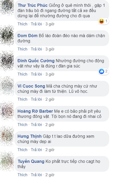 CLIP nhom Phuot chan xe cho doan qua o Vinh Phuc khien dan mang phan no - 4