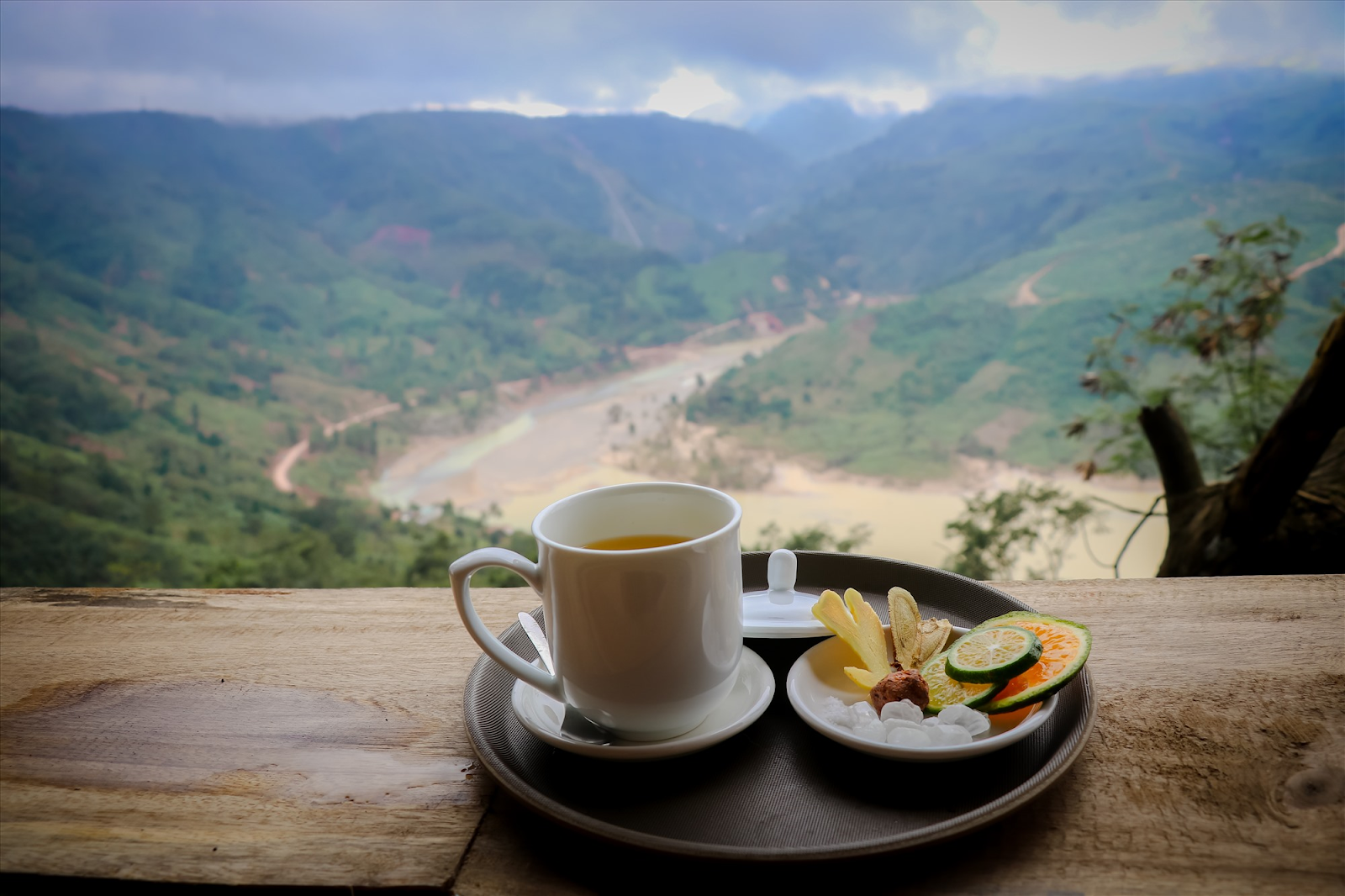 Chon Bong Lai Moi Homi Cafe Khe SanH Quang Tri - 3