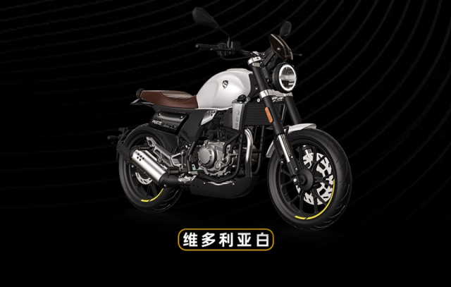 Zongshen Cyclone RE250 mau Cafe racer su dung dong co Aprilia co gi dac biet - 8