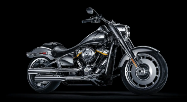 HarleyDavidson Fat Boy Gray Ghost Co may anh bac khuay dong moi anh nhin - 4