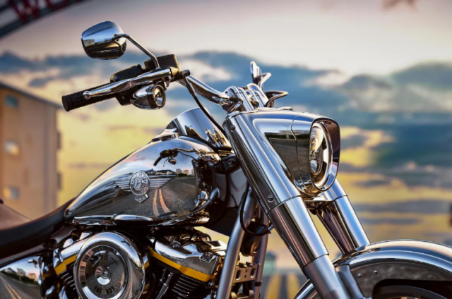 HarleyDavidson Fat Boy Gray Ghost Co may anh bac khuay dong moi anh nhin - 6