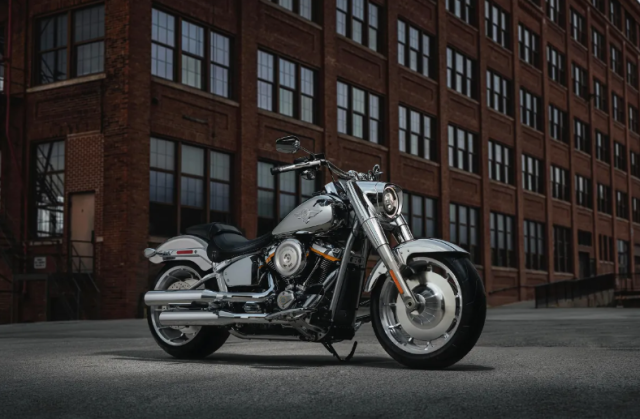 HarleyDavidson Fat Boy Gray Ghost Co may anh bac khuay dong moi anh nhin - 10