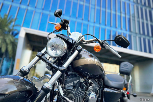 ___ Can Ban ___HARLEY 1200 Custom 2020___