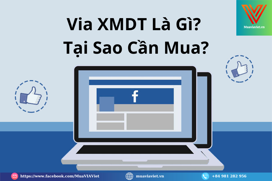 Cach nhan biet VIA XMDT chat luong tranh mua phai fake