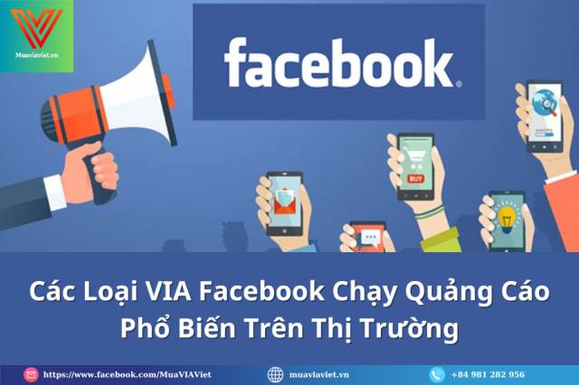 VIA chay quang cao Facebook on dinh can tien deu moi ngay - 2