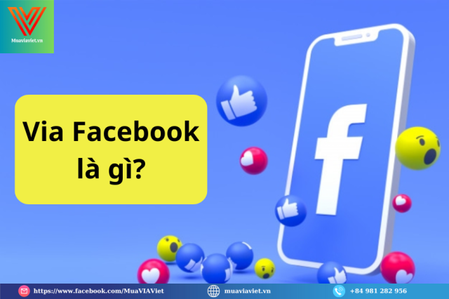 VIA chay quang cao Facebook on dinh can tien deu moi ngay