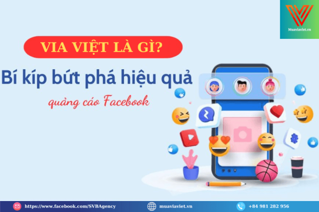 VIA Viet va VIA ngoai loai nao chay quang cao on dinh hon