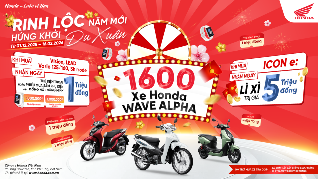 Năm mới đầy khởi sắc với chương trình khuyến mại rinh lộc năm mới hứng khởi du xuân - 1